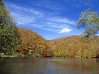 IMG_0031.jpg