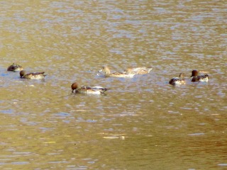 IMG_0036.jpg