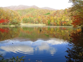 IMG_0053.jpg