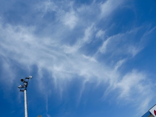 IMG_5199.jpg
