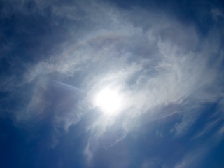 IMG_5205.jpg