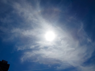 IMG_5210.jpg