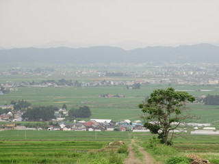 IMG_5561.JPG