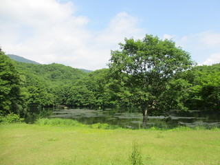 IMG_5672.JPG