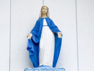 IMG_5728.jpg