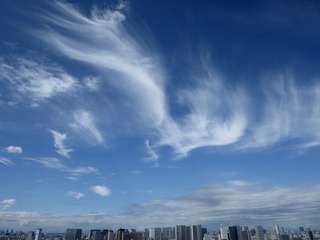 IMG_5749.jpg