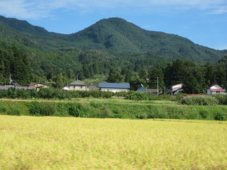 IMG_5786.JPG