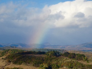 IMG_5915.jpg