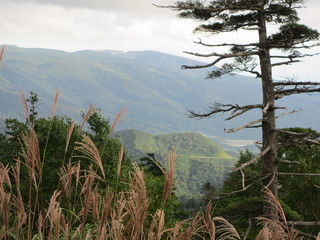 IMG_6303.JPG