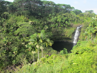IMG_7030.JPG