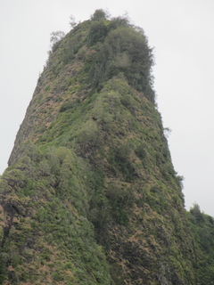 IMG_7561.jpg