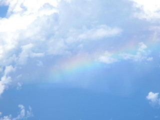 IMG_7897.jpg